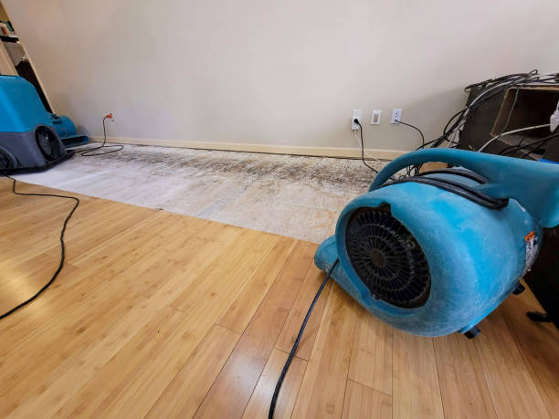 Professional Water Damage Repair technician working in Yantic, CT